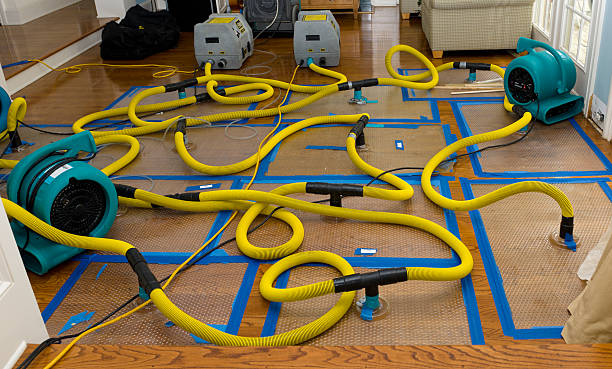 Professional Crawl Space Water Removal technician working in Woodbine, NJ
